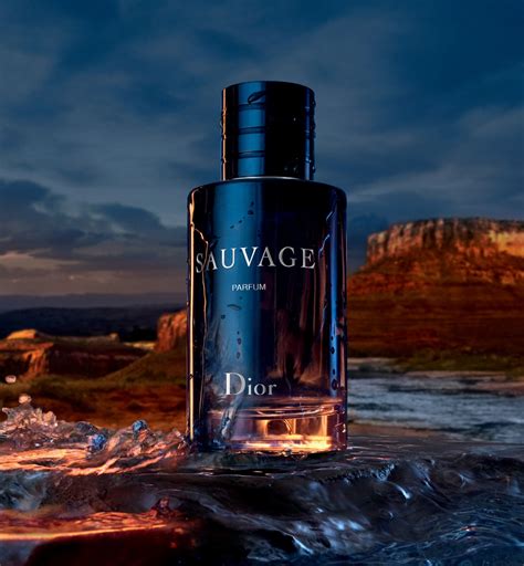 dior suvsge|Dior Sauvage best price.